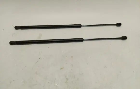 Tailgate strut