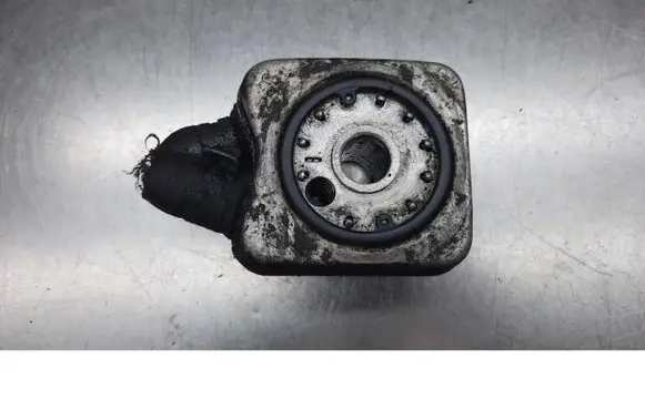 Volkswagen PASSAT B5 Engine oil radiator 