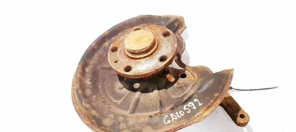 Skoda Octavia Mk2 (1Z) Rear wheel hub didzioji