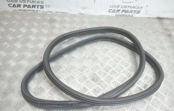 Citroen C4 Cactus Rear door rubber seal (on body) 