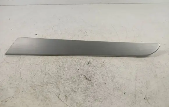 Other rear door trim element