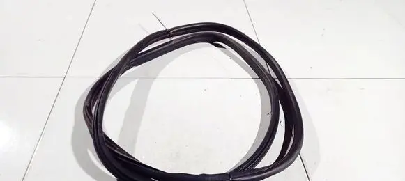 Citroen C4 I Rubber seal front coupe door 