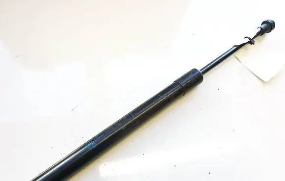 BMW 2 F22 F23 Tailgate/trunk strut/damper 5124730455603