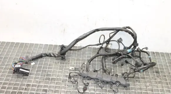 Mercedes-Benz CLC CL203 Engine installation wiring loom A6461502033
