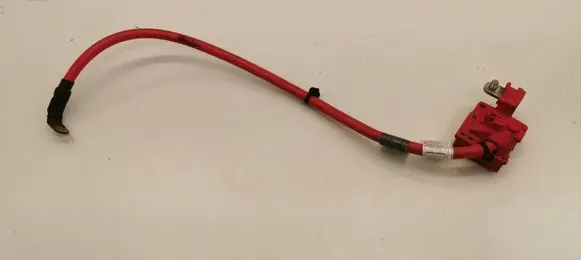 BMW X3 F25 Positive cable (battery) 10304410