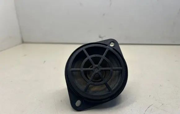 Panel speaker