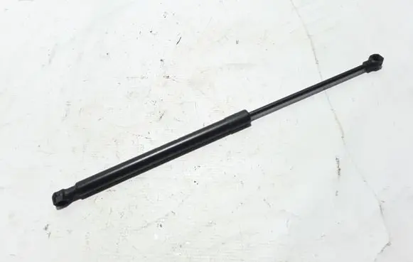 Tailgate strut