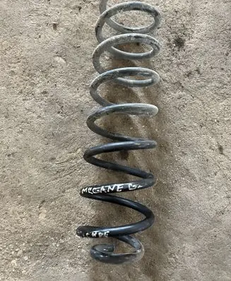 Rear coil spring