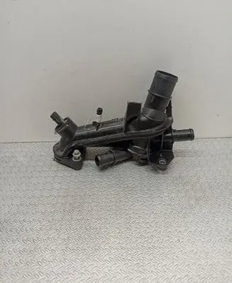 Thermostat/thermostat housing