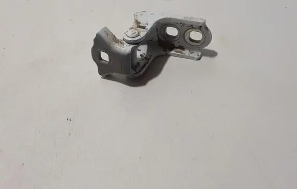 Renault Espace VI Rear door lower hinge 804007161R