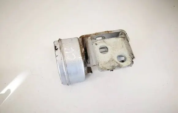 Peugeot 207 Rear door lower hinge