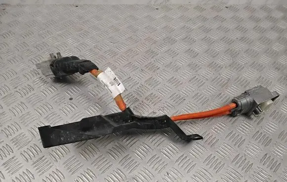 Ford Mach-E I Other wiring loom LJ9814B322