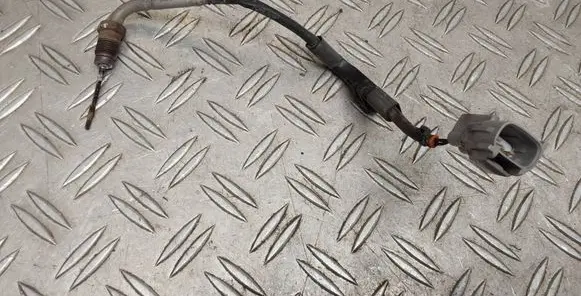 Toyota Urban Cruiser (XP110) Exhaust gas temperature sensor 8942552020