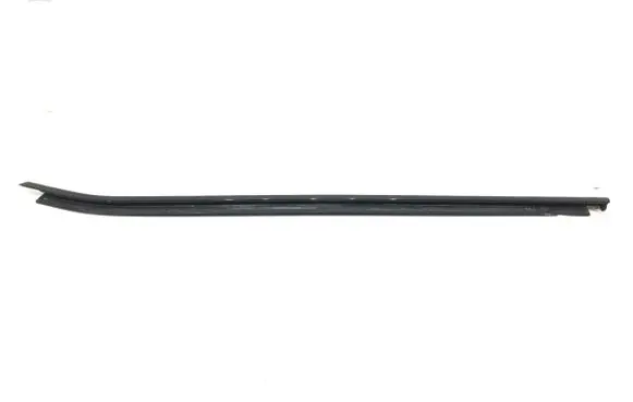 BMW X3 G01 Front door windshield rail 7410015