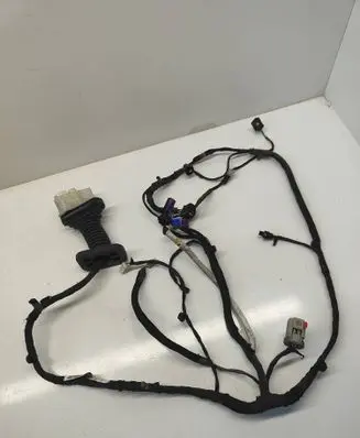 Front door wiring loom