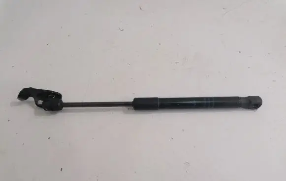 BMW 6 F06 Gran coupe Front bonnet/hood damper/strut 7309119