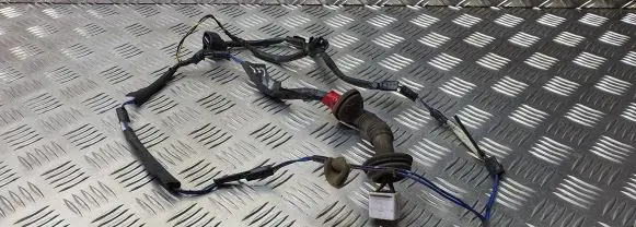Toyota Avensis T220 Rear door wiring loom