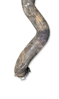 Ford Mustang VI Coolant pipe/hose