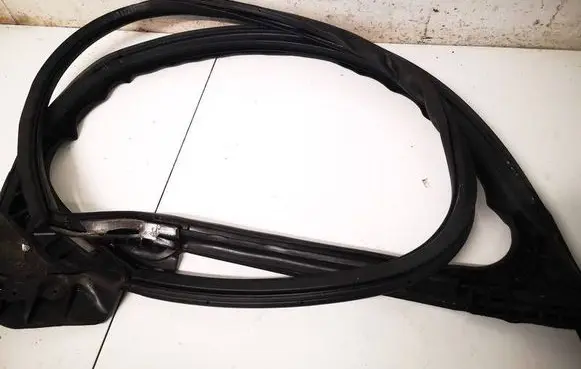 Tesla Model S Rubber seal front coupe door TMSPY03