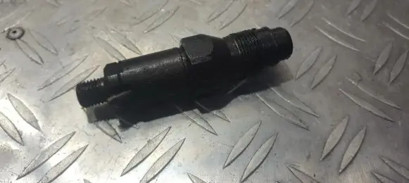 Citroen Berlingo Fuel injector lcr6736001