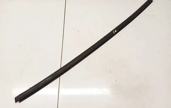 Dacia Sandero Front door glass trim molding PILKOS