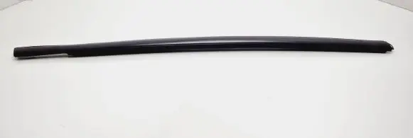 Ford Ecosport Rear door glass trim molding CN15N2600