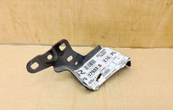 Dacia Sandero III Fender mounting bracket 260424850R