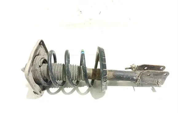 Citroen Jumpy Front shock absorber with coil spring