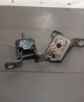 Rear door lower hinge
