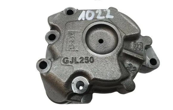 Skoda Superb B8 (3V) Oil pump 02E315105