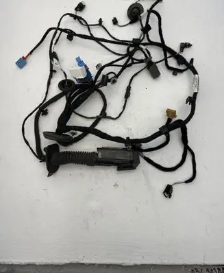 Skoda Enyaq iV Front door wiring loom 5LB971120AP