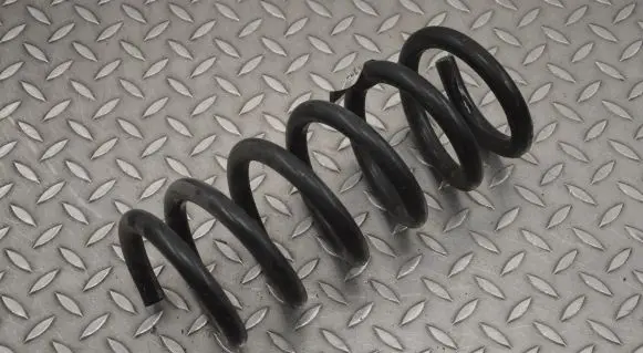 Ford Mustang VI Rear coil spring FR3C5560CE