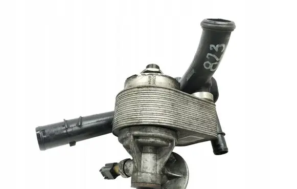 Renault Laguna III Oil filter mounting bracket 