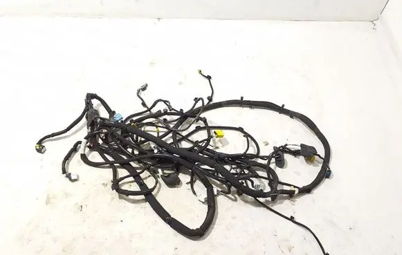 Renault Kangoo III Other wiring loom 241630300S