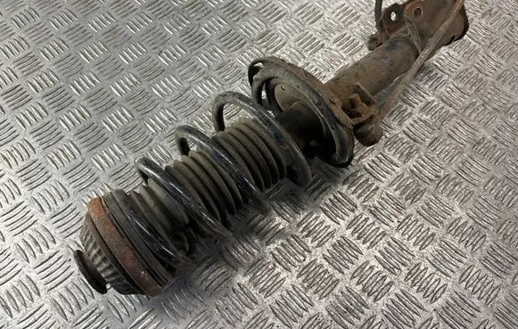 Opel Zafira B Front shock absorber with coil spring 22229594 13199457 674609745