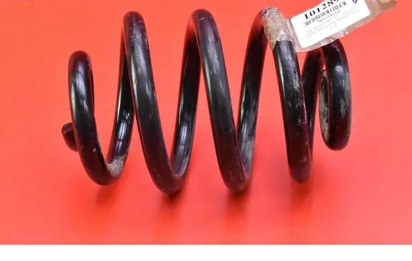 Rear coil spring