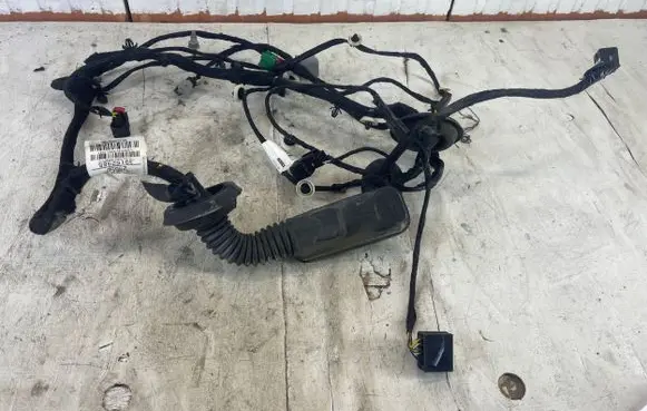 Opel Insignia B Front door wiring loom 39152965