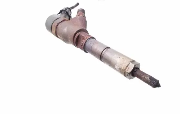 Citroen C5 Fuel injector 0445110076 9641742880