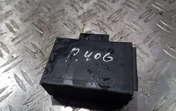 Peugeot 406 Other control units/modules 9624799080