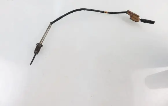 Renault Megane III Exhaust gas temperature sensor RN140JCWE
