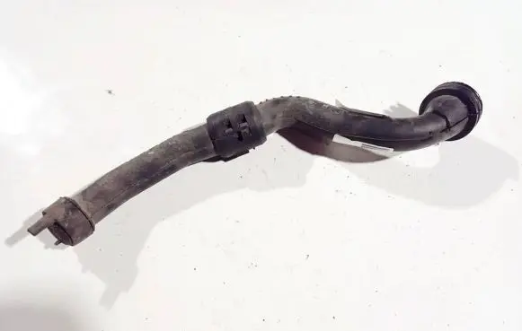 Renault Espace - Grand espace IV Engine coolant pipe/hose 28200060348