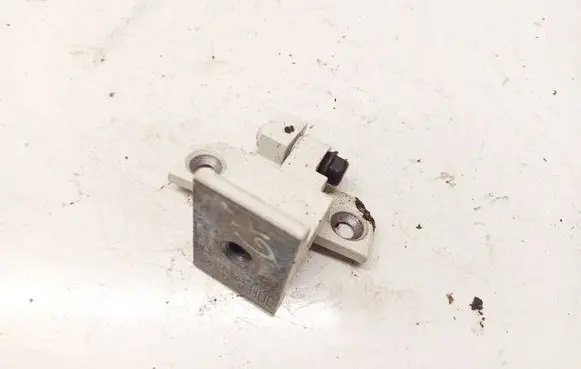 BMW X6 E71 Rear door lower hinge 