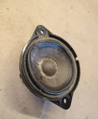 Panel speaker