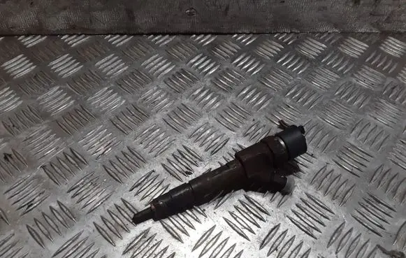 Renault Megane II Fuel injector 8200100272 0445110110A