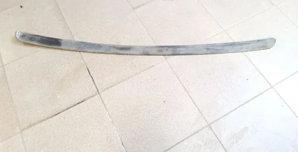 Ford Focus Rear bumper trim bar molding 