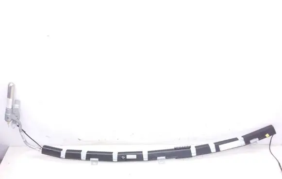 Jaguar X-Type Roof airbag