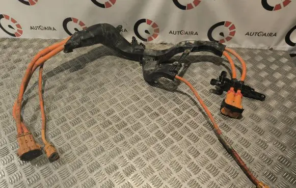 Positive wiring loom