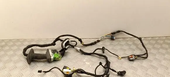 Peugeot 5008 II Front door wiring loom 9811685580