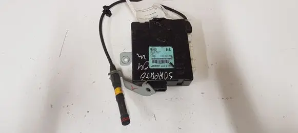 KIA Sorento Other control units/modules 954003E310