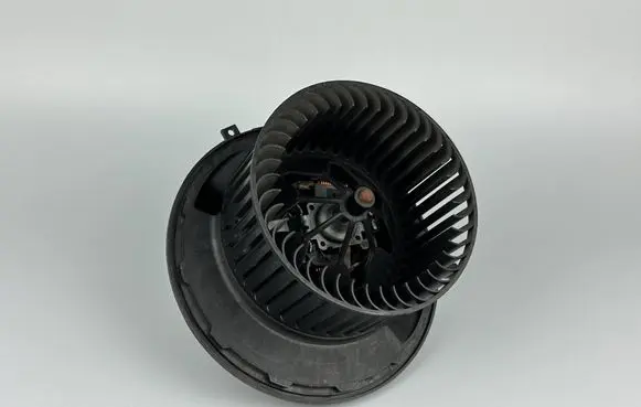Mercedes-Benz A W169 Heater fan/blower A1698200642
